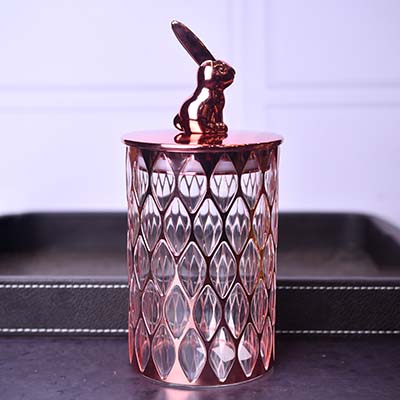 Acrylic Airtight Food canister Rose gold with Bunny lid